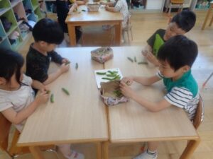 エンドウ豆と子どもたち